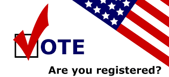 vote with the v in a checkboc with American flag