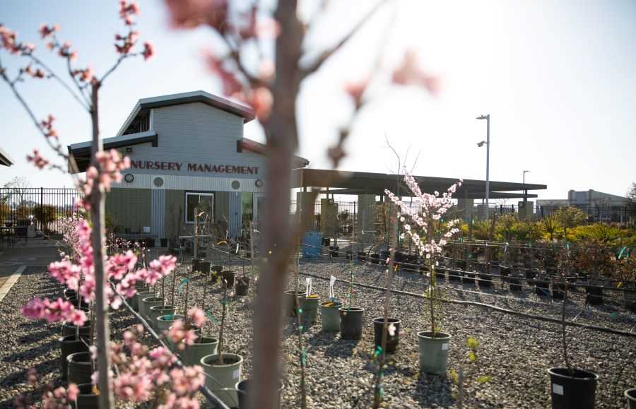 Photo of Tulare Campus